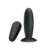 Plug Anal con Vibracion y Control Remoto USB