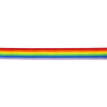 Banda Colores Bandera LGBT