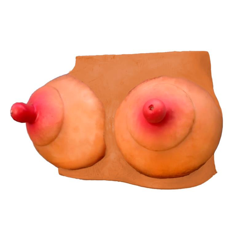 Hucha Forma de Pechos